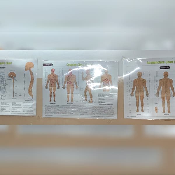 Inside Bhargavi Health World, Chikkadpally — clinic photo 4